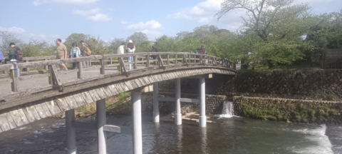 bridge