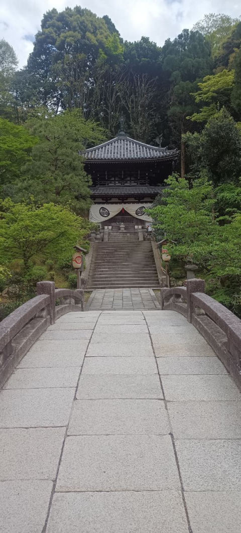 chion10