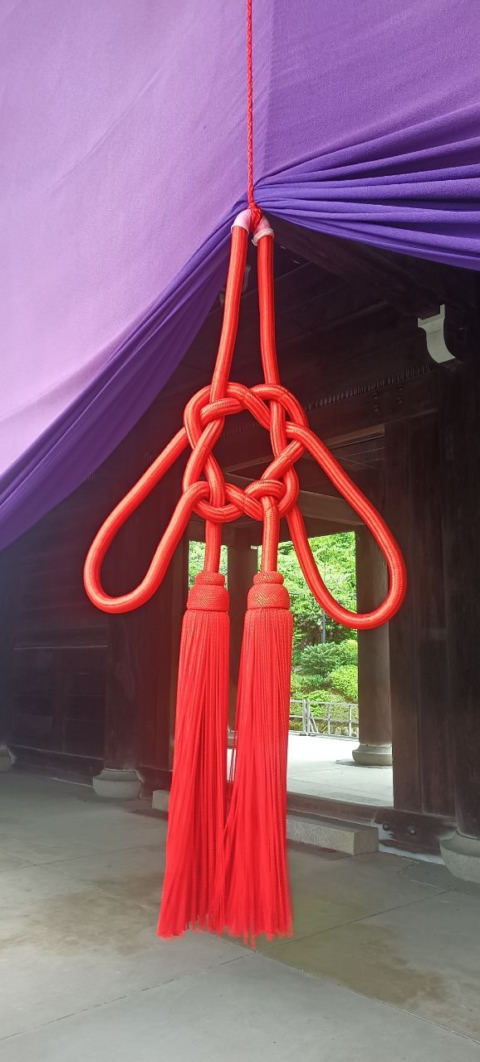 chion11