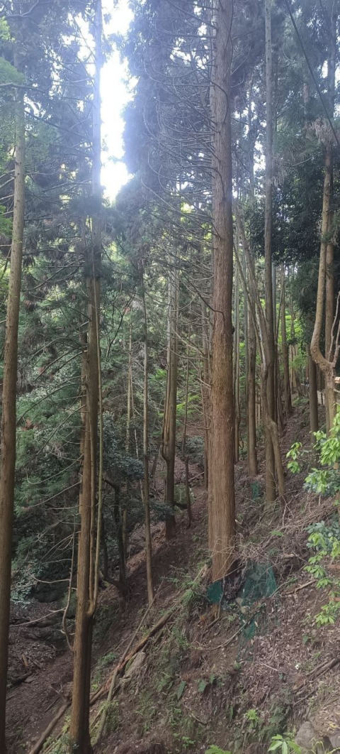 hill