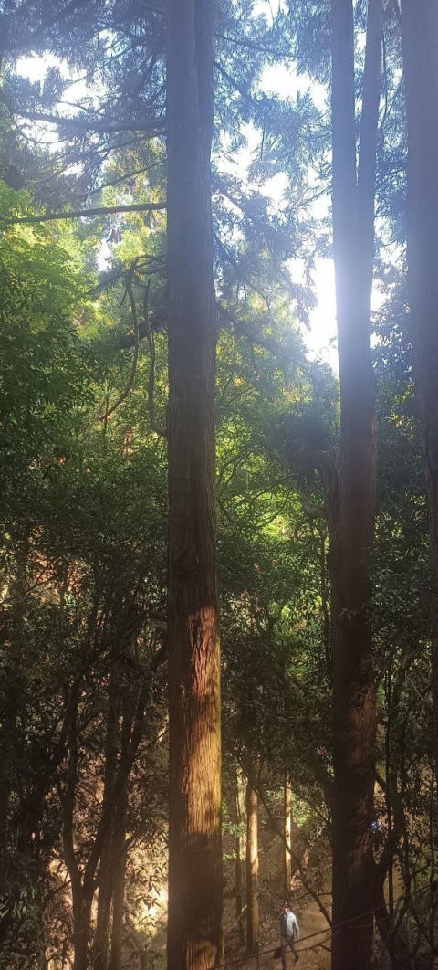 hill