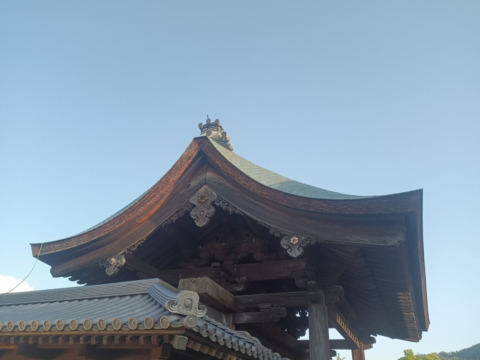 hogon