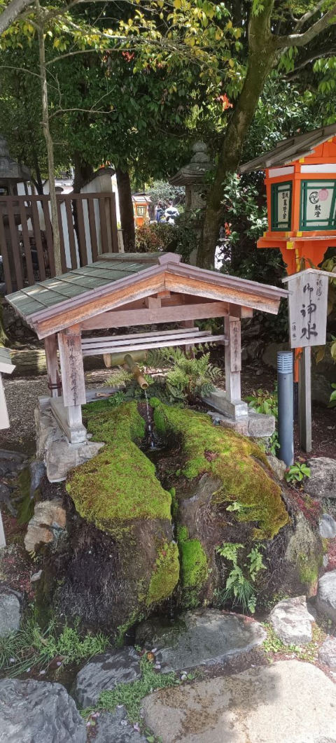 yasaka
