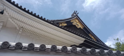 yasaka