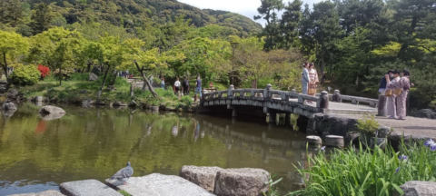 yasaka