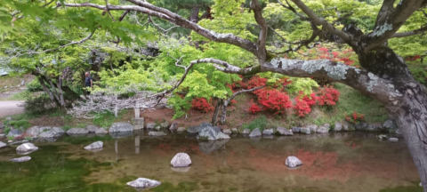 yasaka