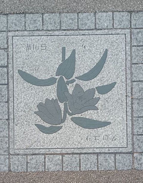 Castle Flower