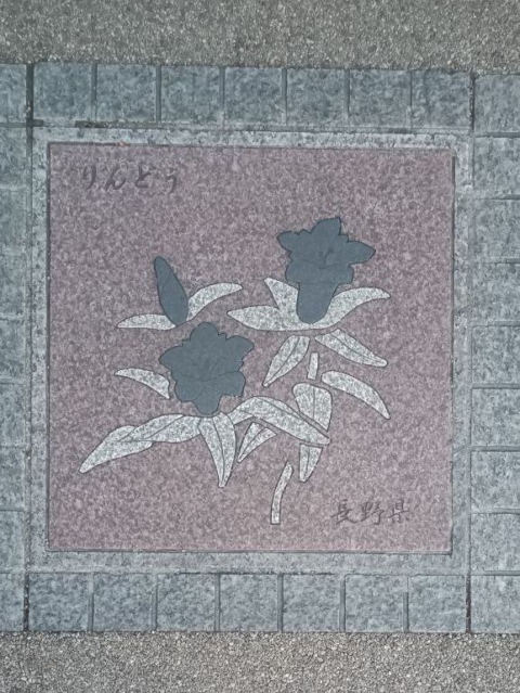 Castle Flower