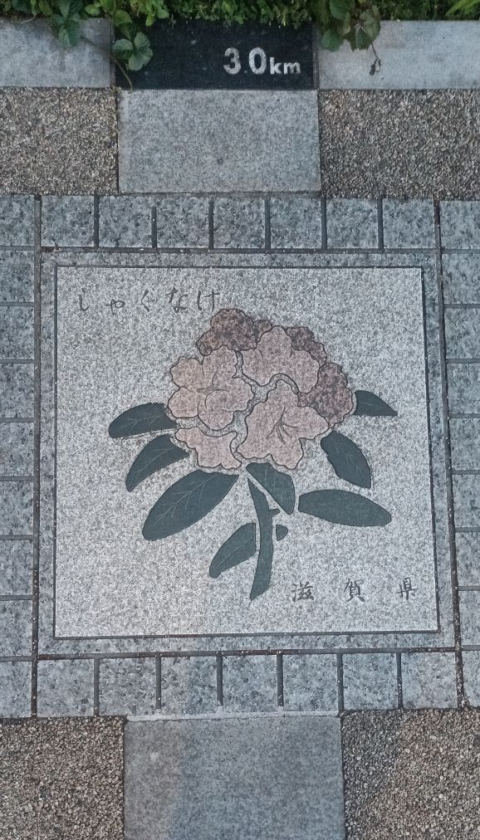 Castle Flower