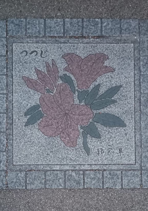 Castle Flower