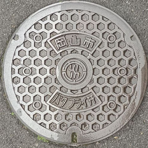 Lid