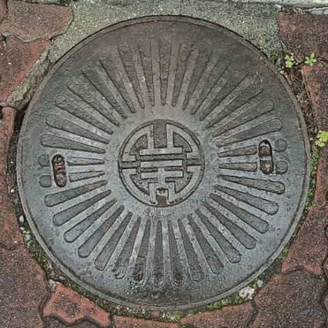 Lid