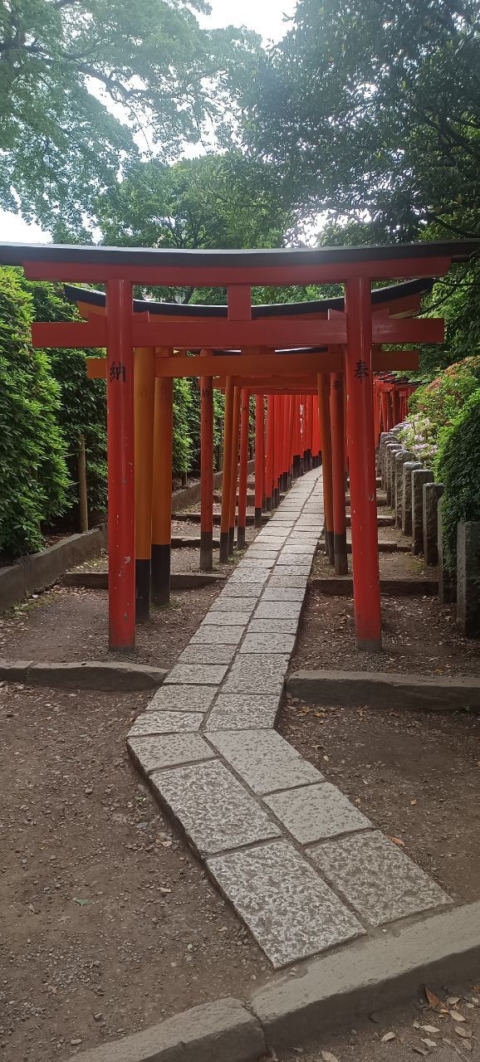 Nezu temple