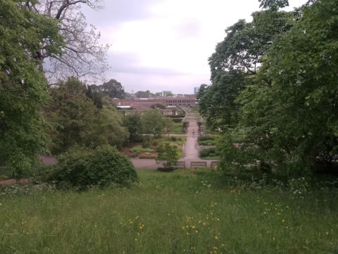 Ascending the hill