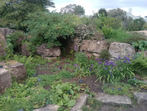Rock garden detail