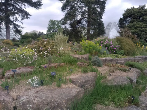 Alpine House approach