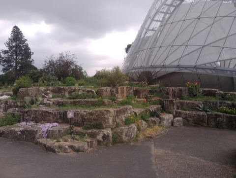 Alpine House interior