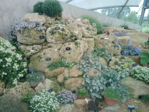 Leaving Alpine House