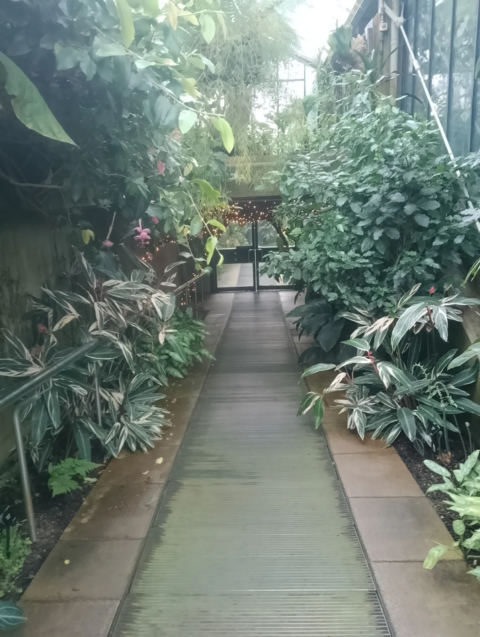 Conservatory interior