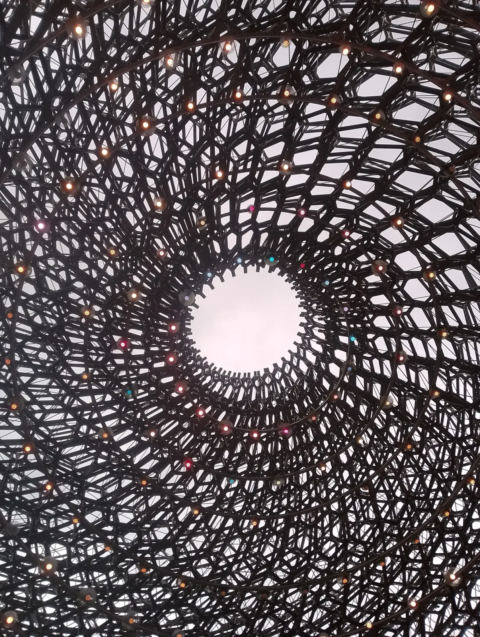 Hive interior with lights