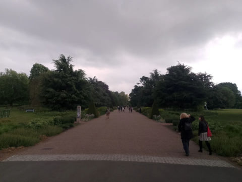 Syon Vista