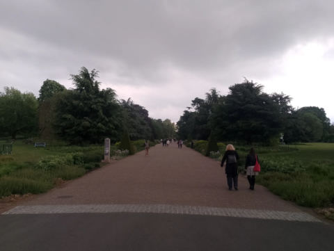 Syon Vista path