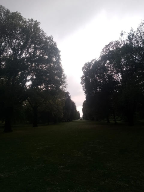 Pagoda Vista