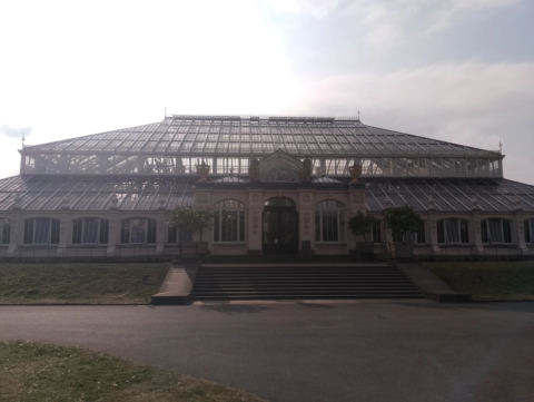 View back along the avenue