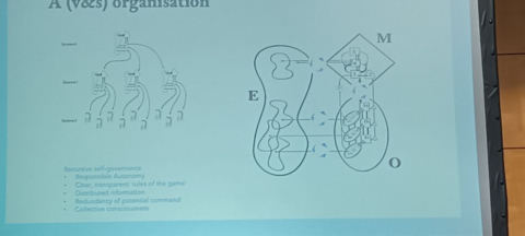 Metaphorum