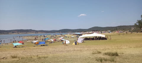Plains