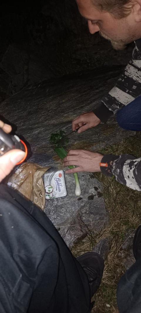 Dinner
