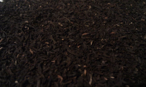 Leaf close-up