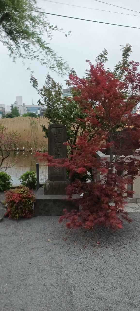 Uneo Park