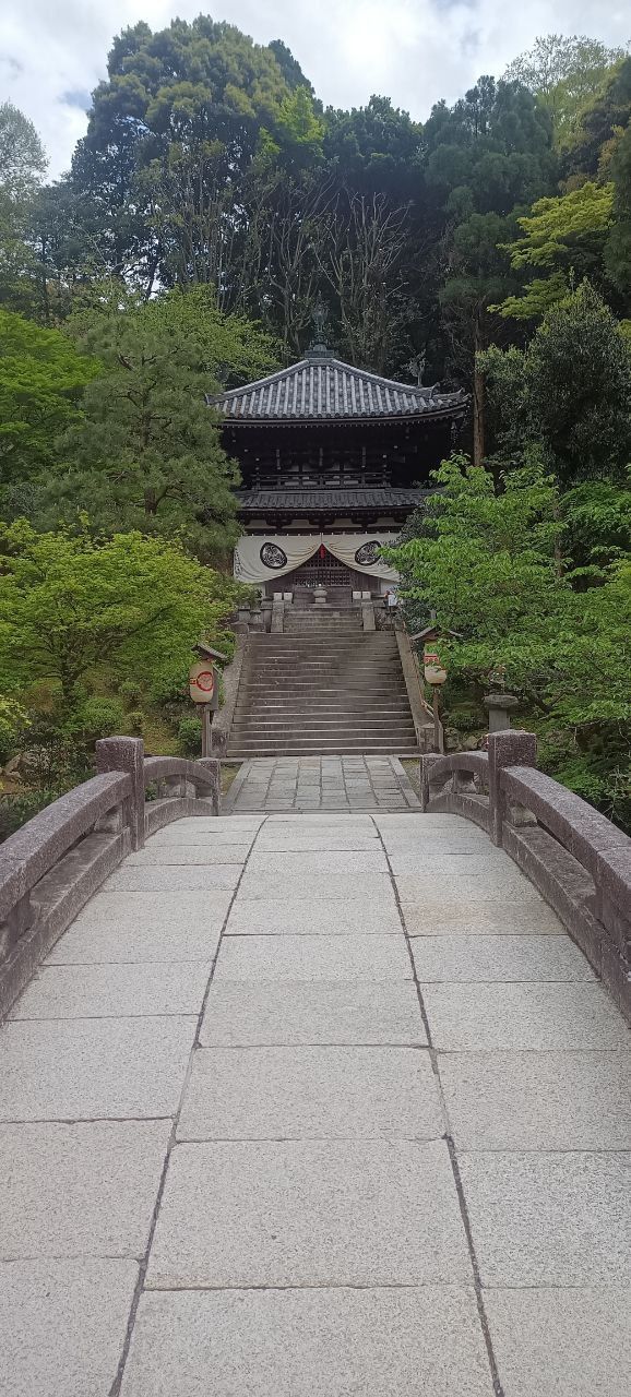 chion10