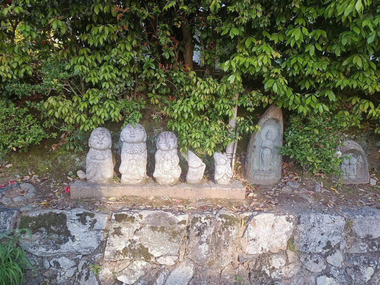 hogon
